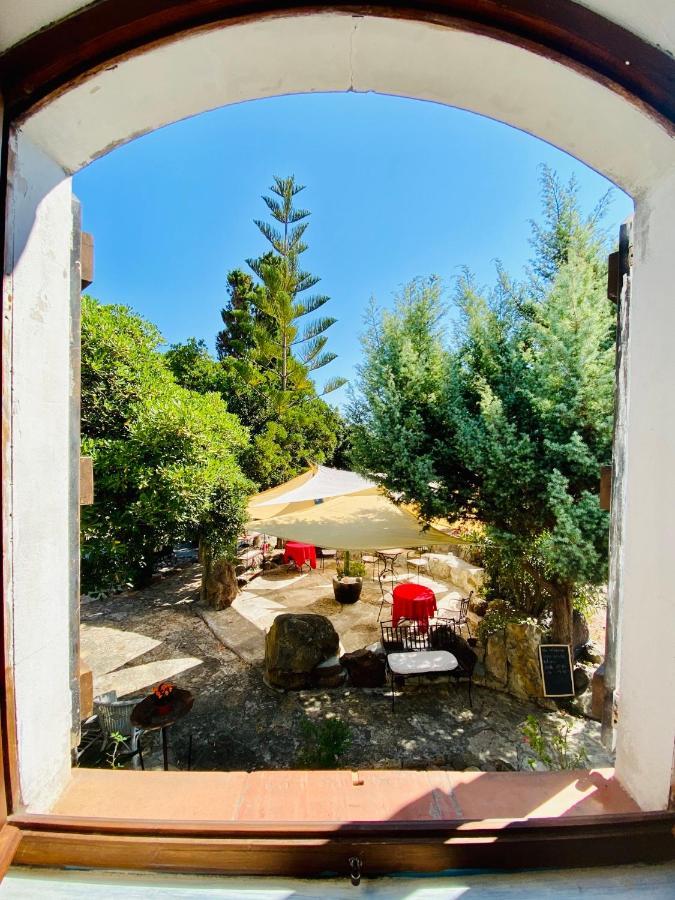 Vign'Alva Bed & Breakfast Кастелсардо Екстериор снимка