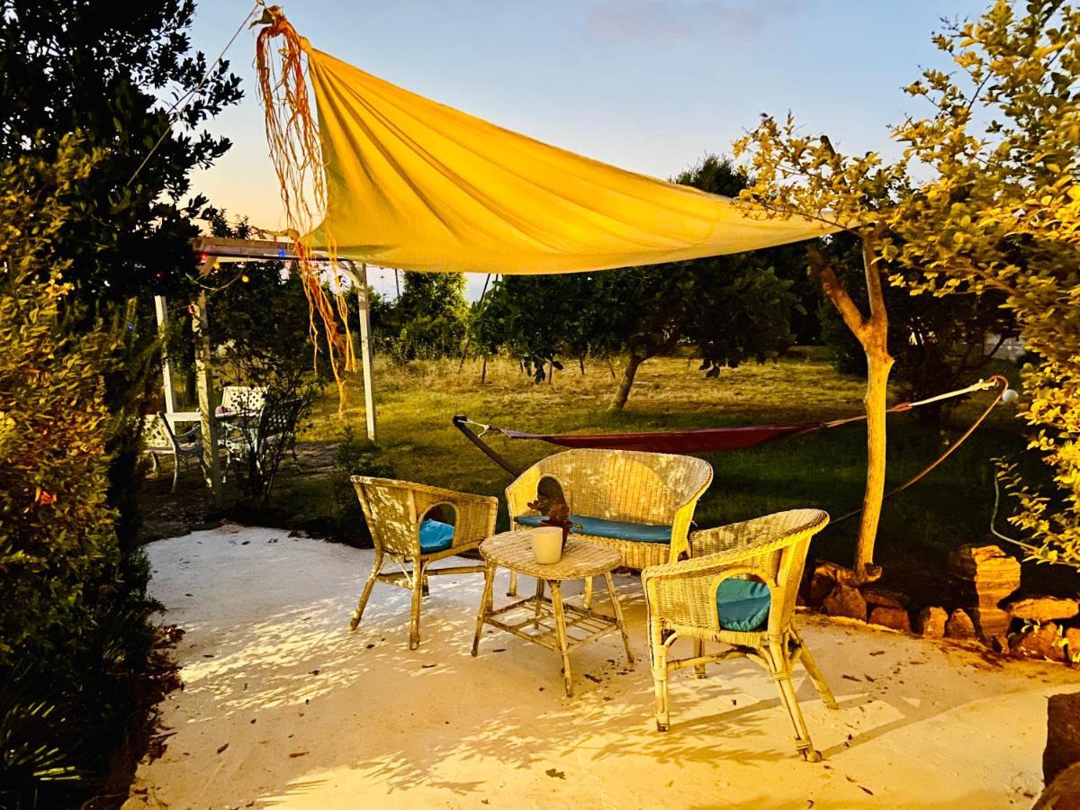 Vign'Alva Bed & Breakfast Кастелсардо Екстериор снимка