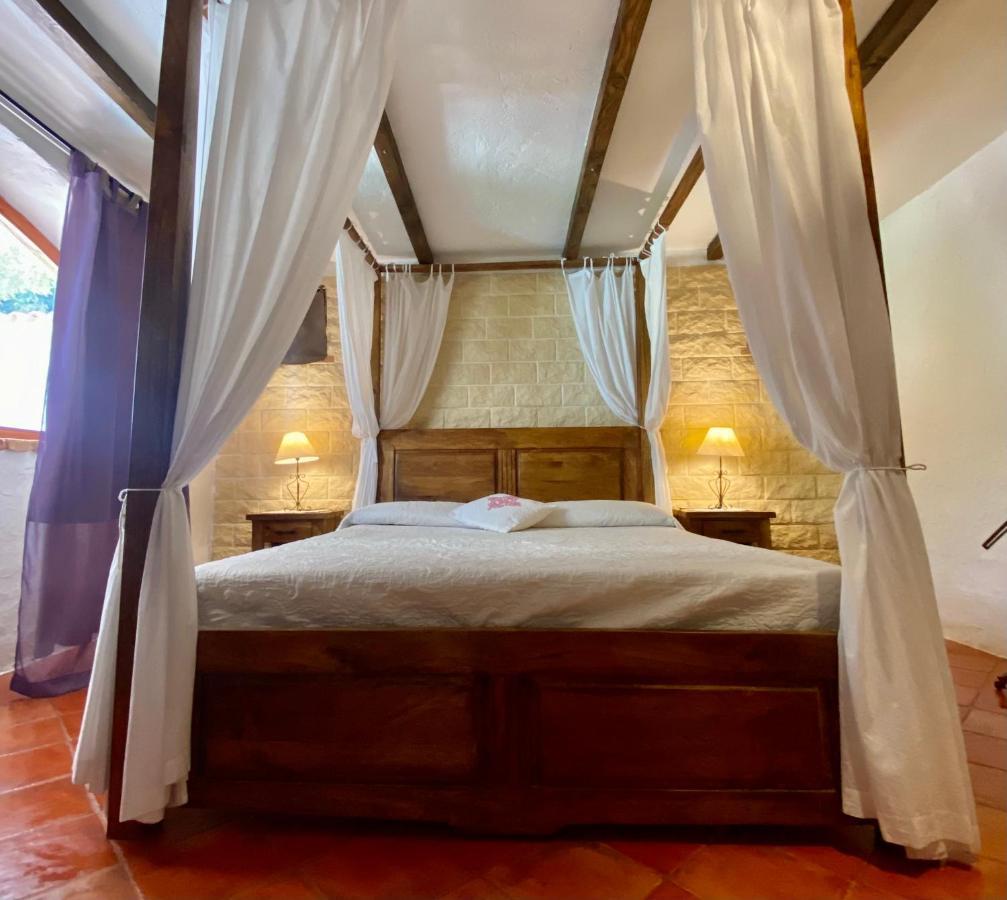 Vign'Alva Bed & Breakfast Кастелсардо Екстериор снимка
