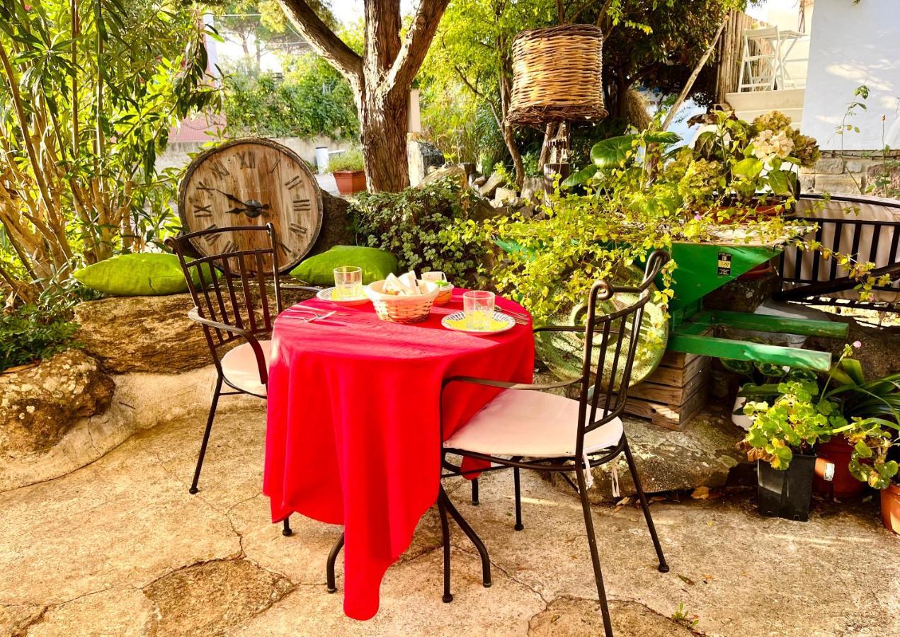Vign'Alva Bed & Breakfast Кастелсардо Екстериор снимка